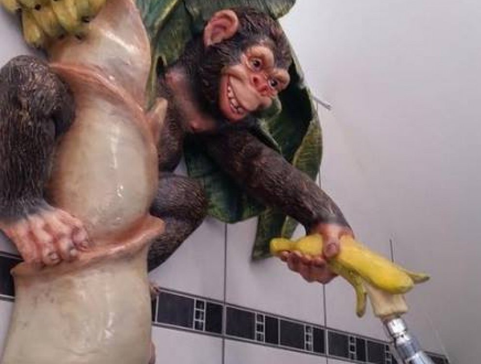 1930878 1619617291439489 5957470222381661572 n