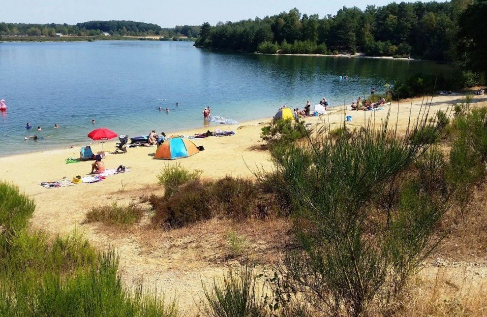 Camping aan het water belgisch limburg
