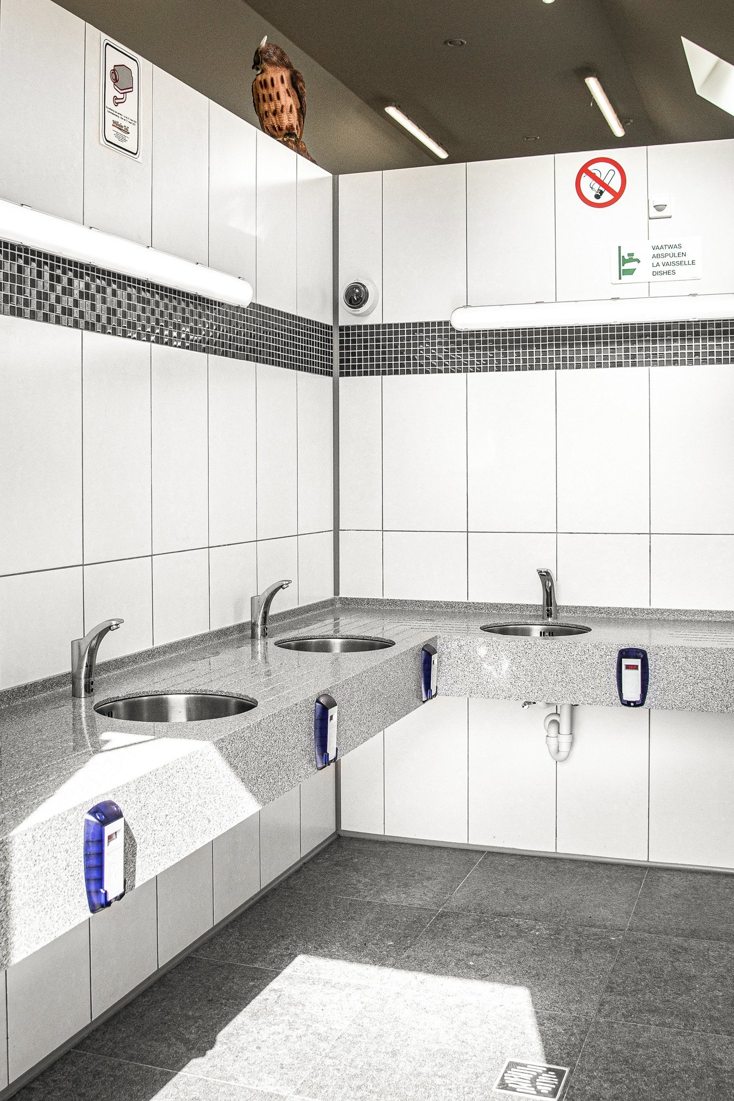 Fotostudio marieke 20200722 101734 wilhelm tell