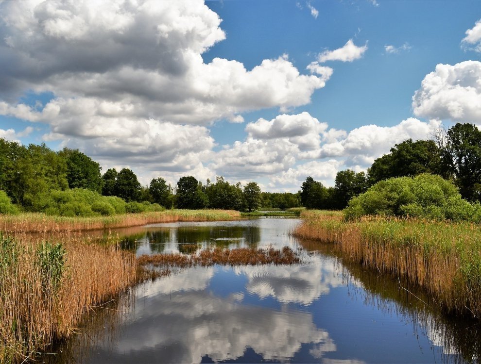 Natuurgebied De Maten